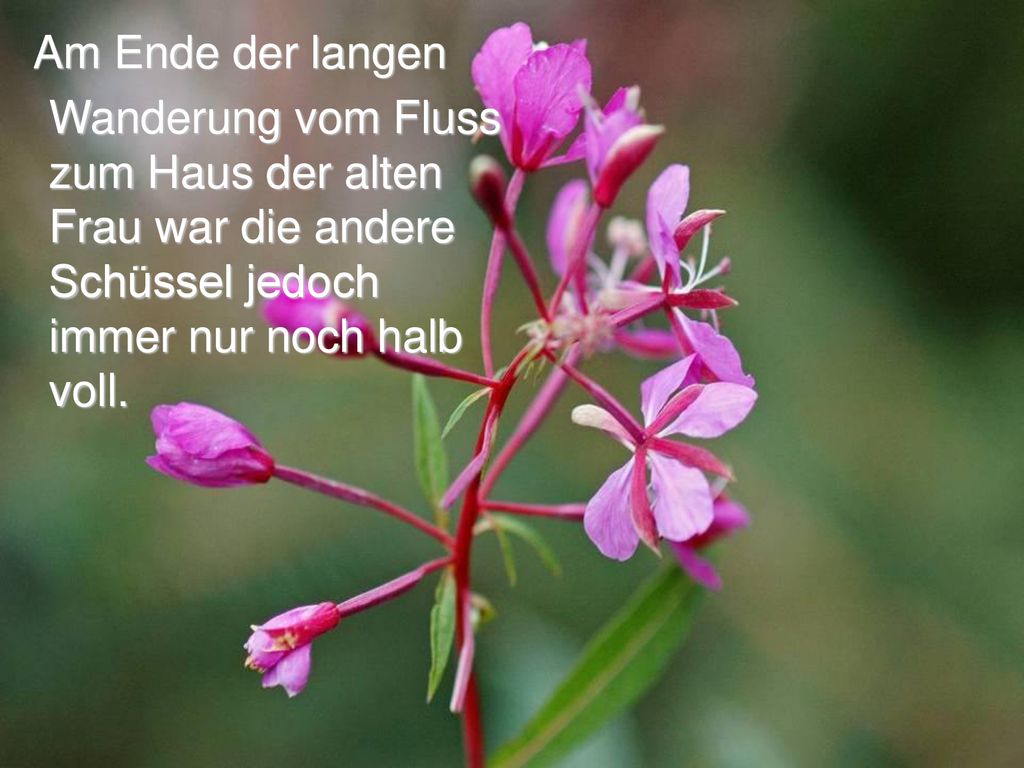 Am Ende der langen Wanderung vom Fluss zum Haus der alten Frau war die andere Schüssel jedoch immer nur noch halb voll.