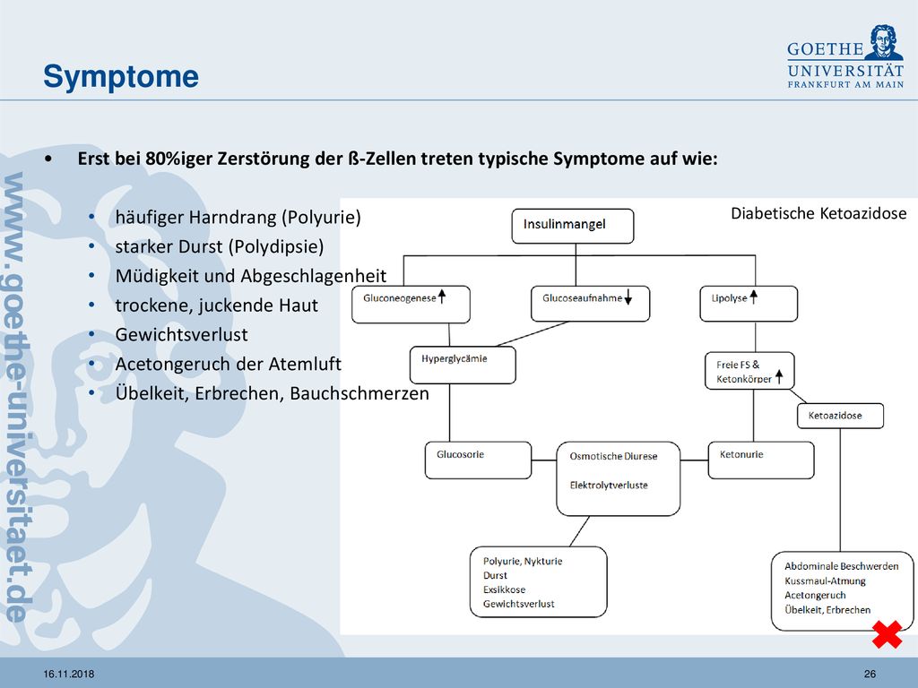 Symptome Erst bei 80%iger Zerstörung der ß-Zellen treten typische Symptome auf wie: häufiger Harndrang (Polyurie)