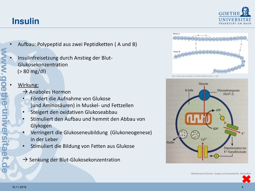 Insulin Aufbau: Polypeptid aus zwei Peptidketten ( A und B)