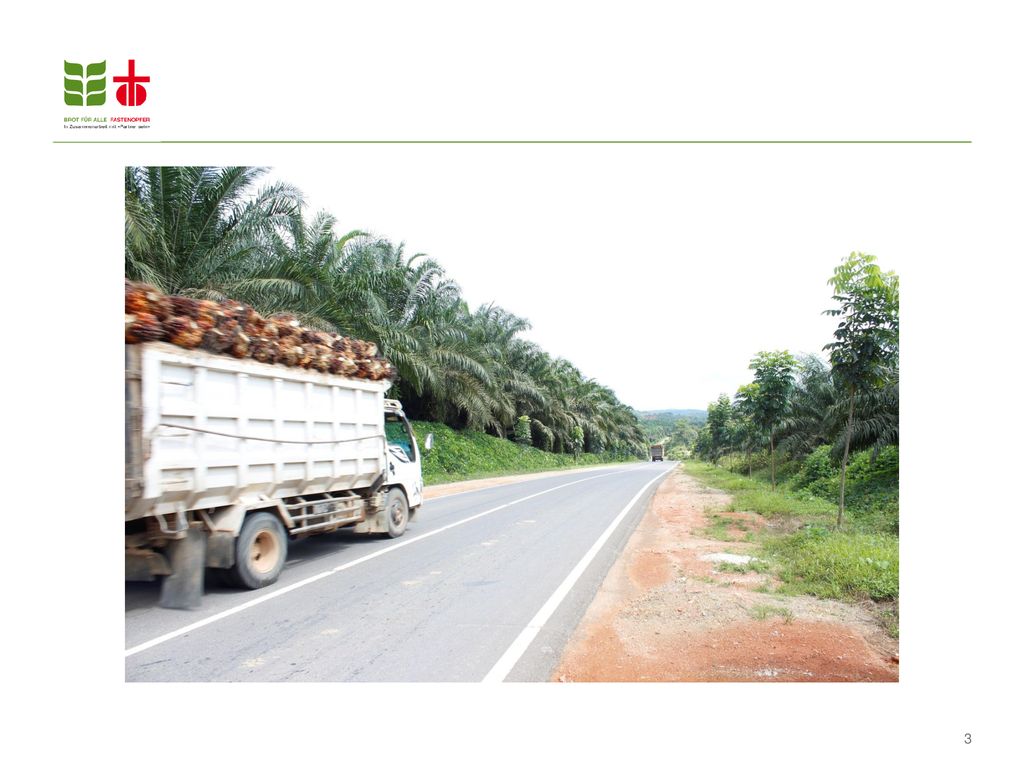 Das Palmöl wir praktisch vollständig exportiert und ausserhalb von Indonesien verwendet.