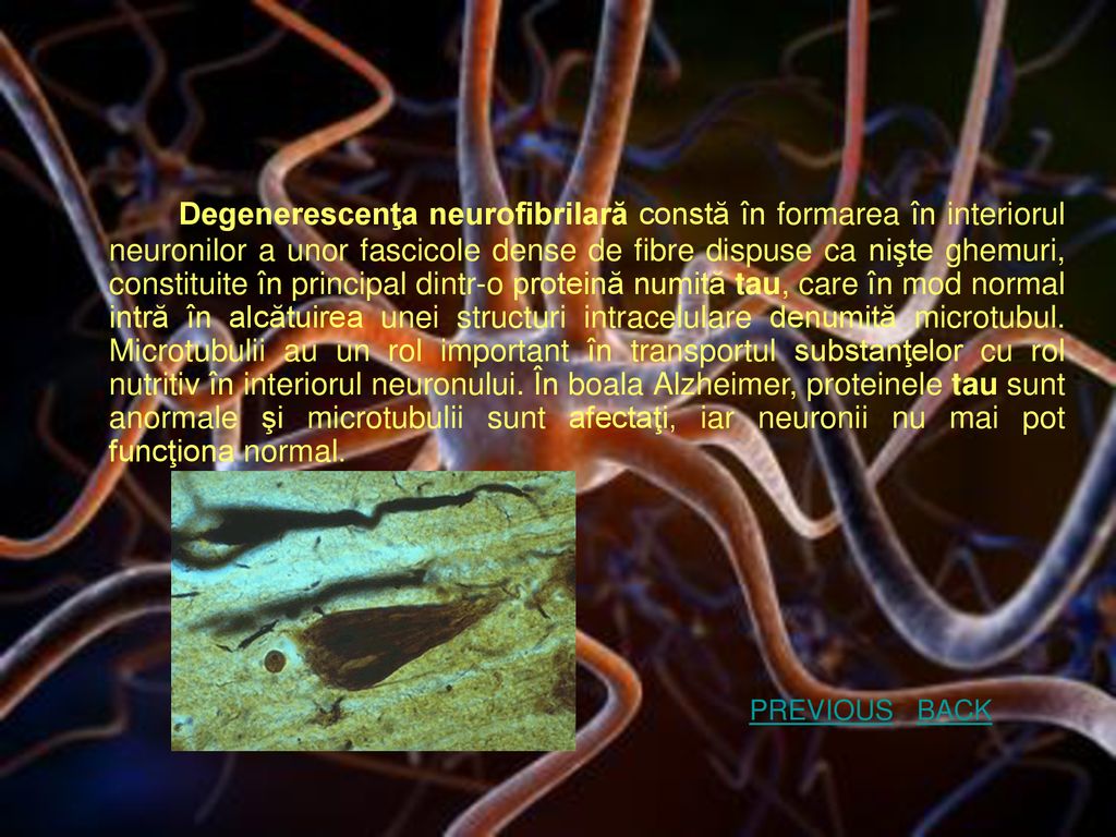 Degenerescenţa neurofibrilară constă în formarea în interiorul neuronilor a unor fascicole dense de fibre dispuse ca nişte ghemuri, constituite în principal dintr-o proteină numită tau, care în mod normal intră în alcătuirea unei structuri intracelulare denumită microtubul. Microtubulii au un rol important în transportul substanţelor cu rol nutritiv în interiorul neuronului. În boala Alzheimer, proteinele tau sunt anormale şi microtubulii sunt afectaţi, iar neuronii nu mai pot funcţiona normal.