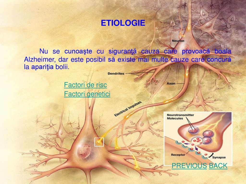 ETIOLOGIE Nu se cunoaşte cu siguranţă cauza care provoacă boala Alzheimer, dar este posibil să existe mai multe cauze care concură la apariţia bolii.