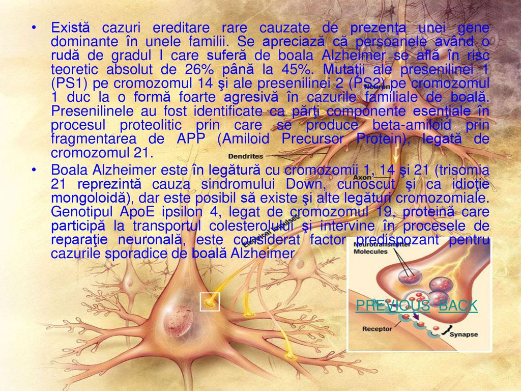 Există cazuri ereditare rare cauzate de prezenţa unei gene dominante în unele familii. Se apreciază că persoanele având o rudă de gradul I care suferă de boala Alzheimer se află în risc teoretic absolut de 26% până la 45%. Mutaţii ale presenilinei 1 (PS1) pe cromozomul 14 şi ale presenilinei 2 (PS2) pe cromozomul 1 duc la o formă foarte agresivă în cazurile familiale de boală. Presenilinele au fost identificate ca părţi componente esenţiale în procesul proteolitic prin care se produce beta-amiloid prin fragmentarea de APP (Amiloid Precursor Protein), legată de cromozomul 21.
