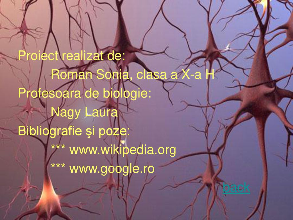 Proiect realizat de: Roman Sonia, clasa a X-a H. Profesoara de biologie: Nagy Laura. Bibliografie şi poze: