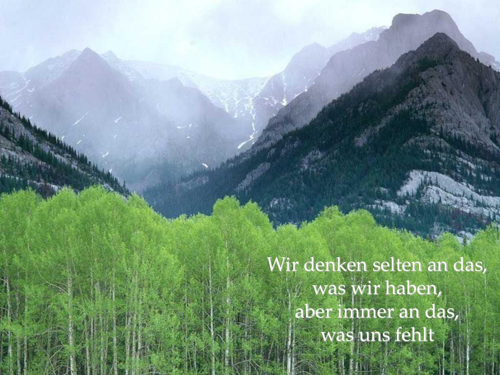 Wir denken selten an das, was wir haben, aber immer an das, was uns fehlt