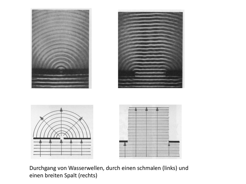 Durchgang von Wasserwellen, durch einen schmalen (links) und einen breiten Spalt (rechts)