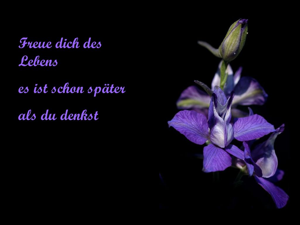 Freue dich des Lebens es ist schon später als du denkst