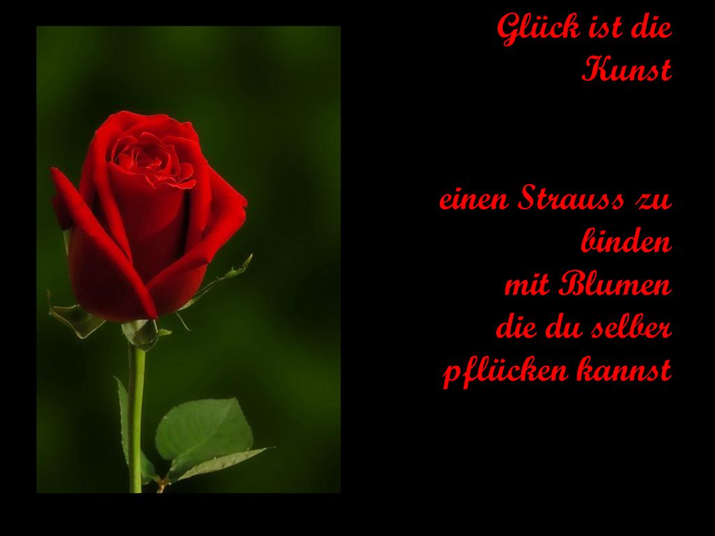 Glück ist die Kunst einen Strauss zu binden mit Blumen die du selber pflücken kannst