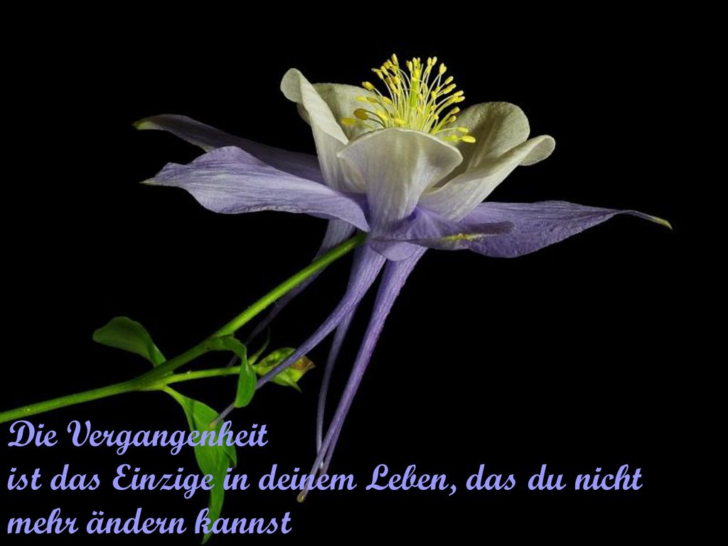 Die Vergangenheit ist das Einzige in deinem Leben, das du nicht mehr ändern kannst