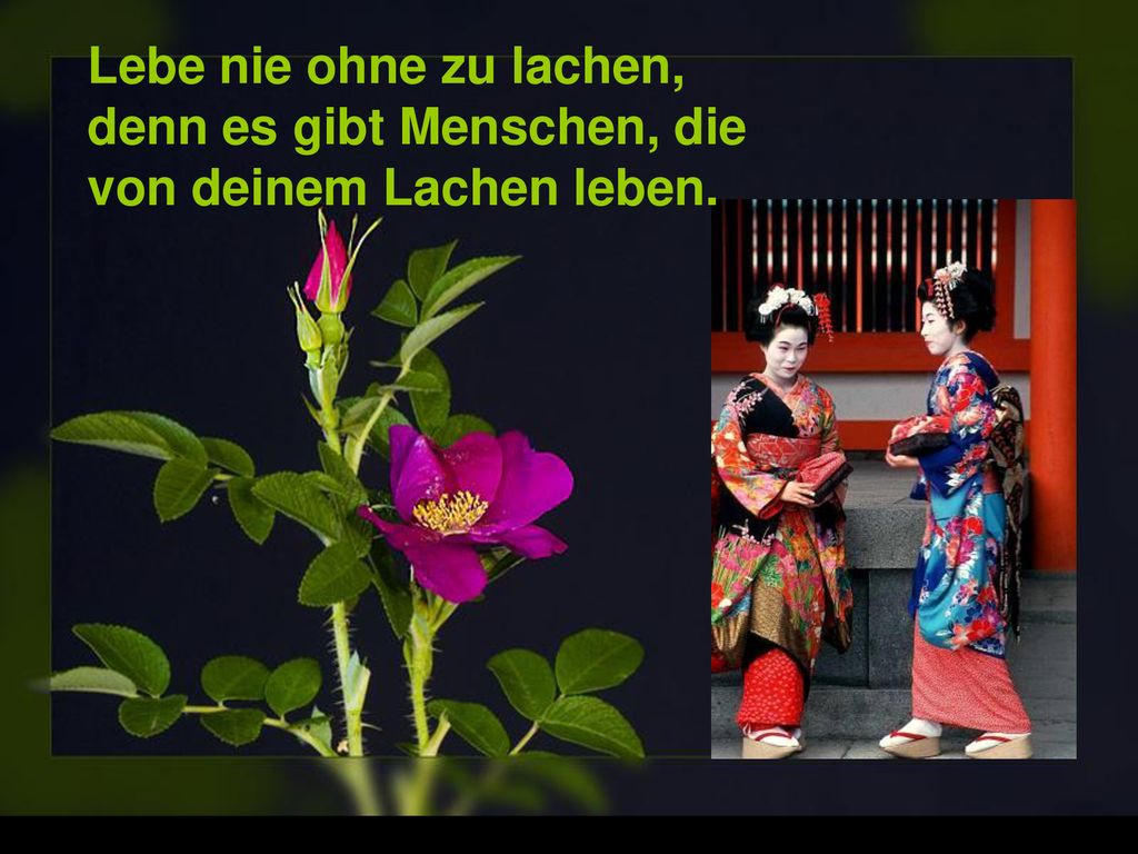 Lebe nie ohne zu lachen, denn es gibt Menschen, die von deinem Lachen leben.