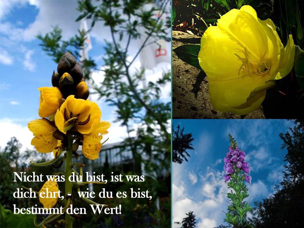Nicht was du bist, ist was dich ehrt, - wie du es bist, bestimmt den Wert!