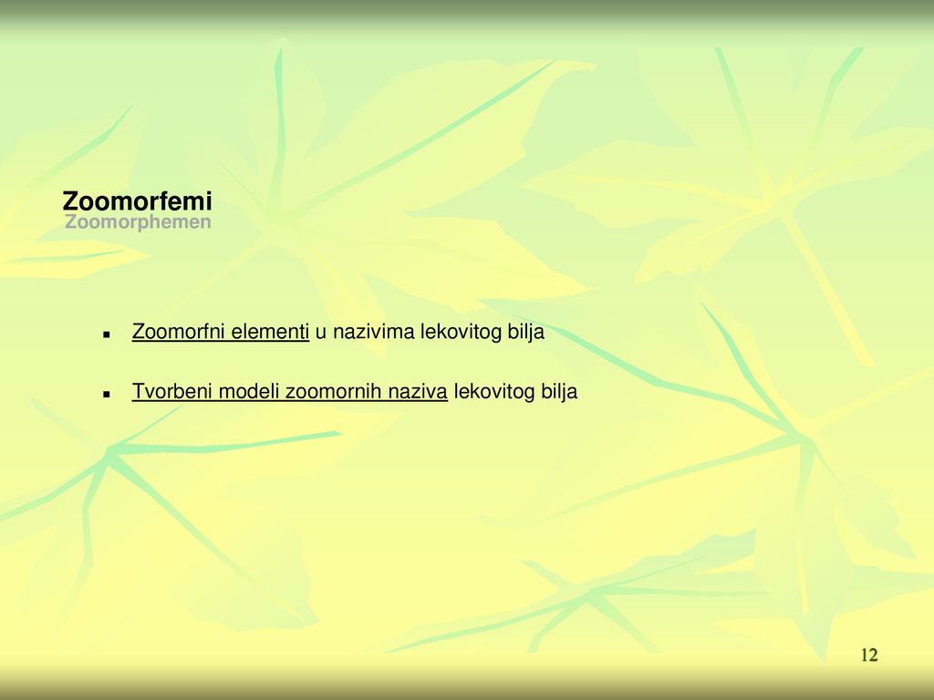 Zoomorfemi Zoomorphemen Zoomorfni elementi u nazivima lekovitog bilja