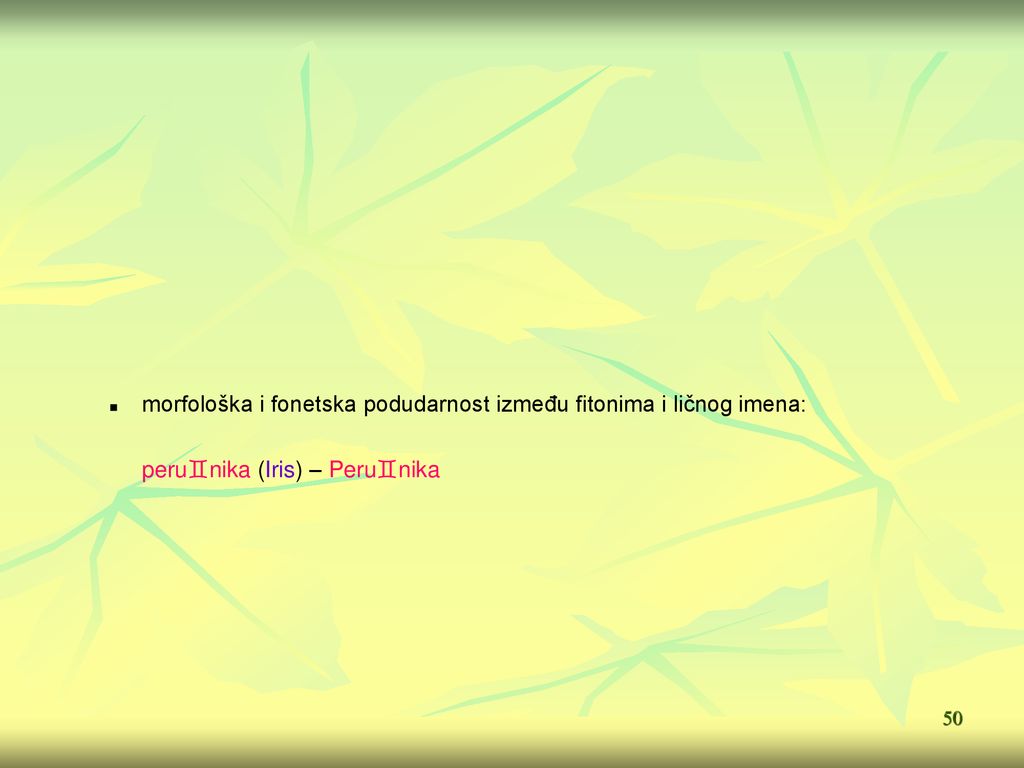 morfološka i fonetska podudarnost između fitonima i ličnog imena: