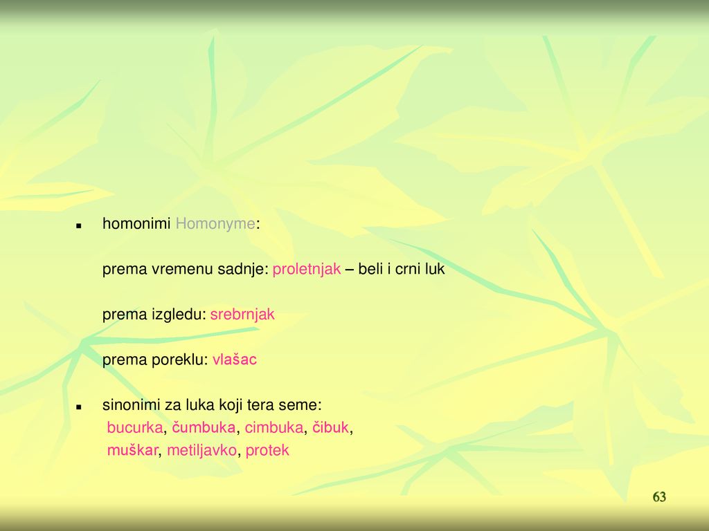 homonimi Homonyme: prema vremenu sadnje: proletnjak – beli i crni luk. prema izgledu: srebrnjak. prema poreklu: vlašac.