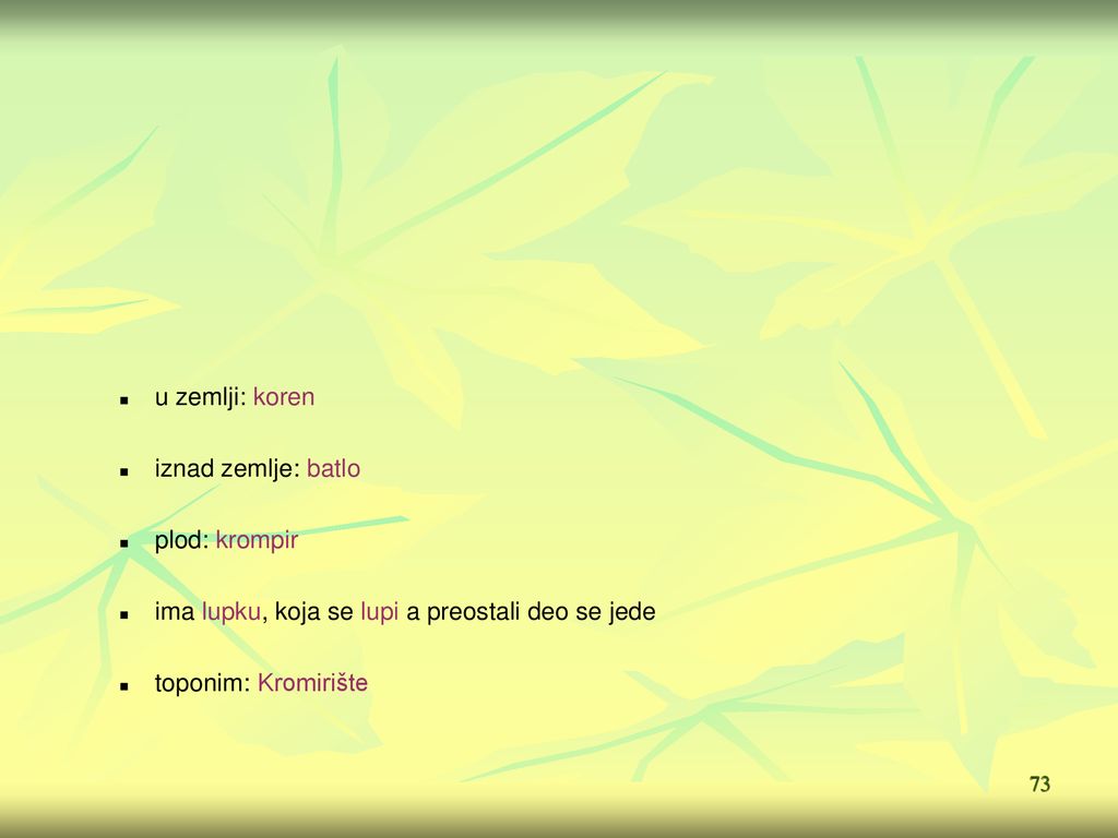 u zemlji: koren iznad zemlje: batlo. plod: krompir. ima lupku, koja se lupi a preostali deo se jede.