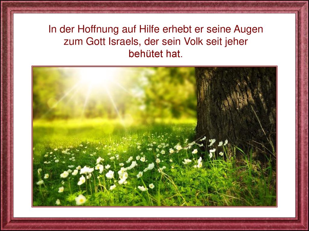 In der Hoffnung auf Hilfe erhebt er seine Augen zum Gott Israels, der sein Volk seit jeher behütet hat.