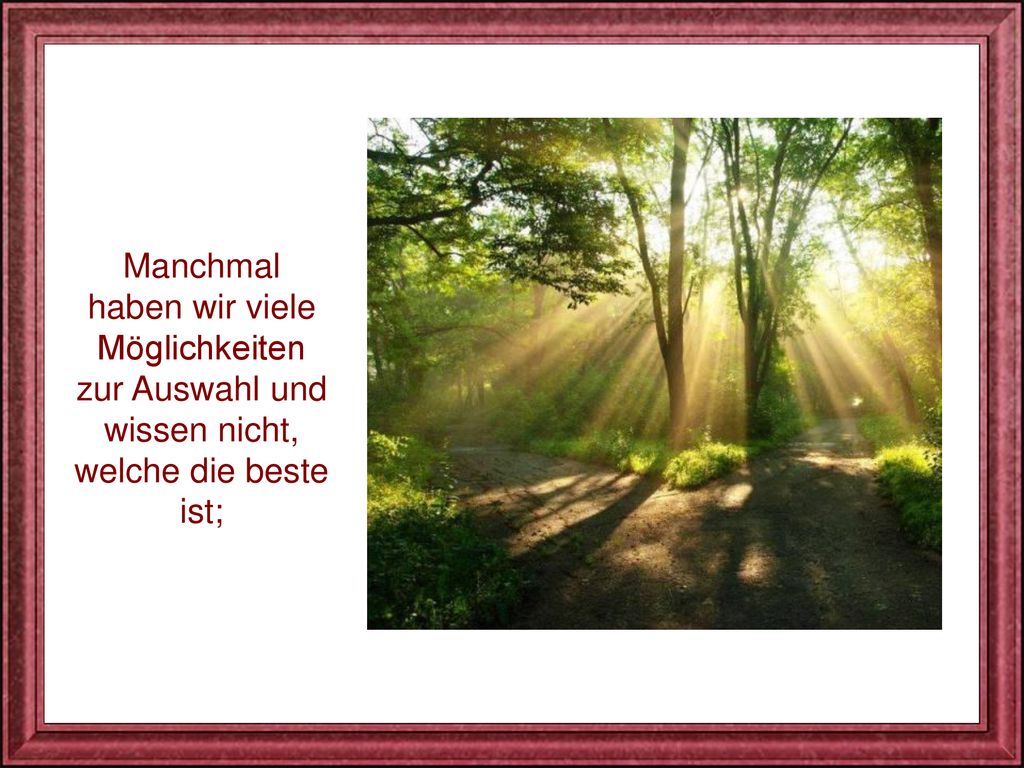 Manchmal haben wir viele Möglichkeiten zur Auswahl und wissen nicht, welche die beste ist;
