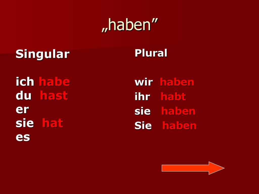„haben Singular ich habe du hast er sie hat es Plural wir haben