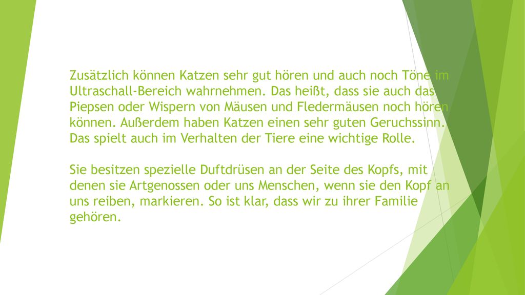 Zusätzlich können Katzen sehr gut hören und auch noch Töne im Ultraschall-Bereich wahrnehmen.