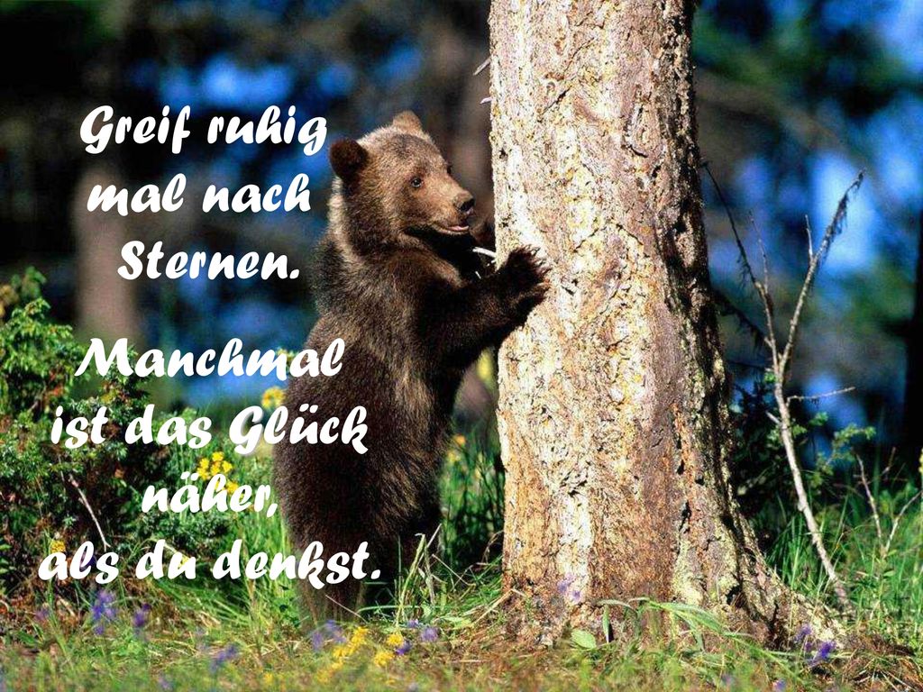 mal nach Sternen. Manchmal ist das Glück näher, als du denkst.