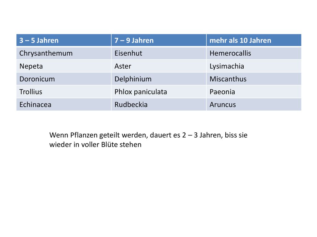 3 – 5 Jahren 7 – 9 Jahren. mehr als 10 Jahren. Chrysanthemum. Eisenhut. Hemerocallis. Nepeta. Aster.