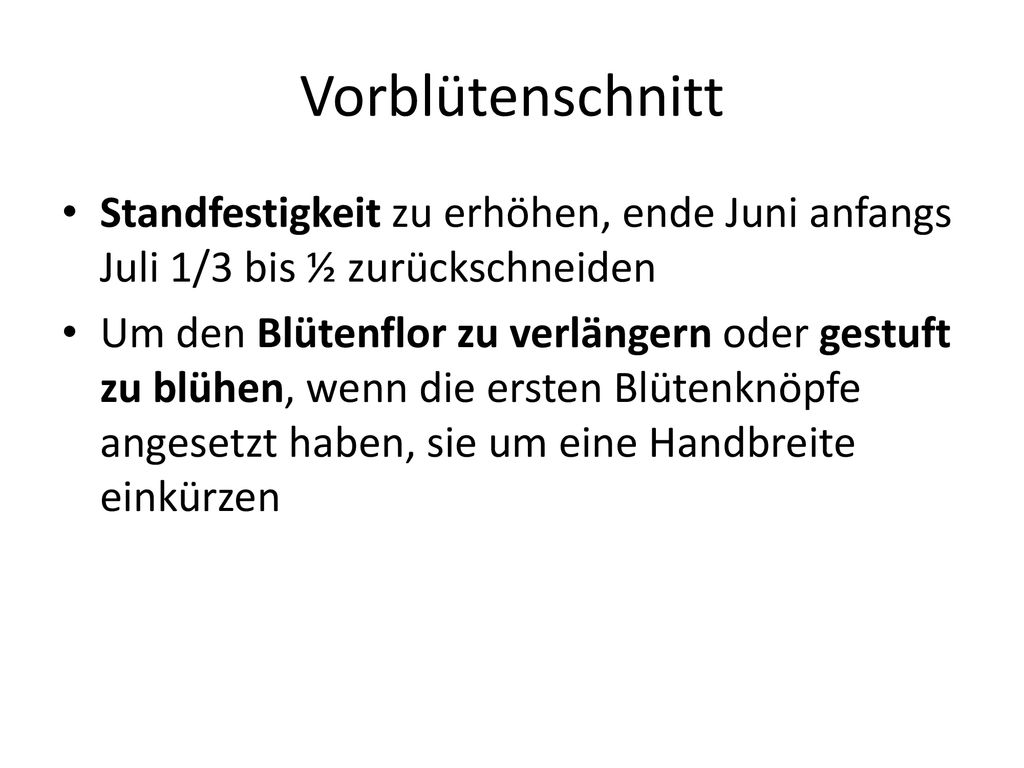 Vorblütenschnitt Standfestigkeit zu erhöhen, ende Juni anfangs Juli 1/3 bis ½ zurückschneiden.