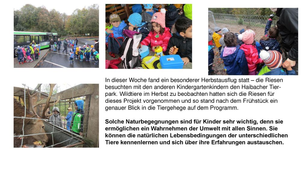 In dieser Woche fand ein besonderer Herbstausflug statt – die Riesen