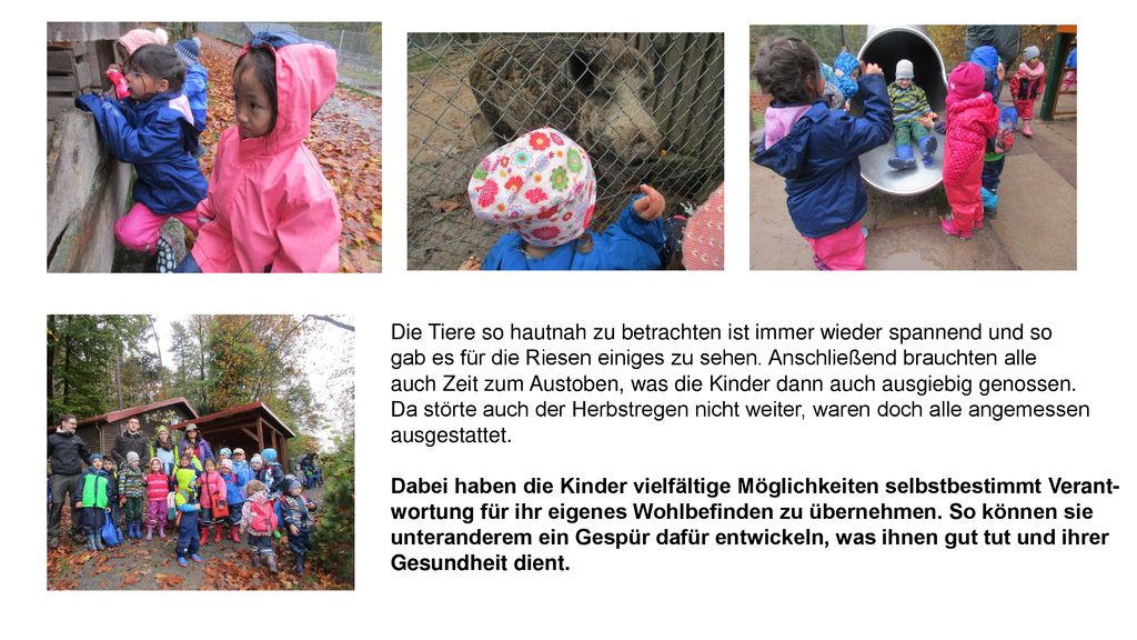 Die Tiere so hautnah zu betrachten ist immer wieder spannend und so