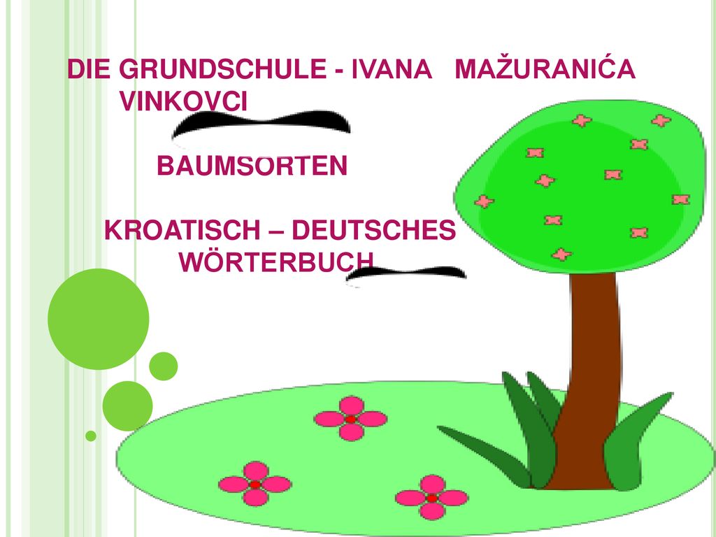 DIE GRUNDSCHULE - IVANA MAŽURANIĆA VINKOVCI BAUMSORTEN KROATISCH – DEUTSCHES WÖRTERBUCH