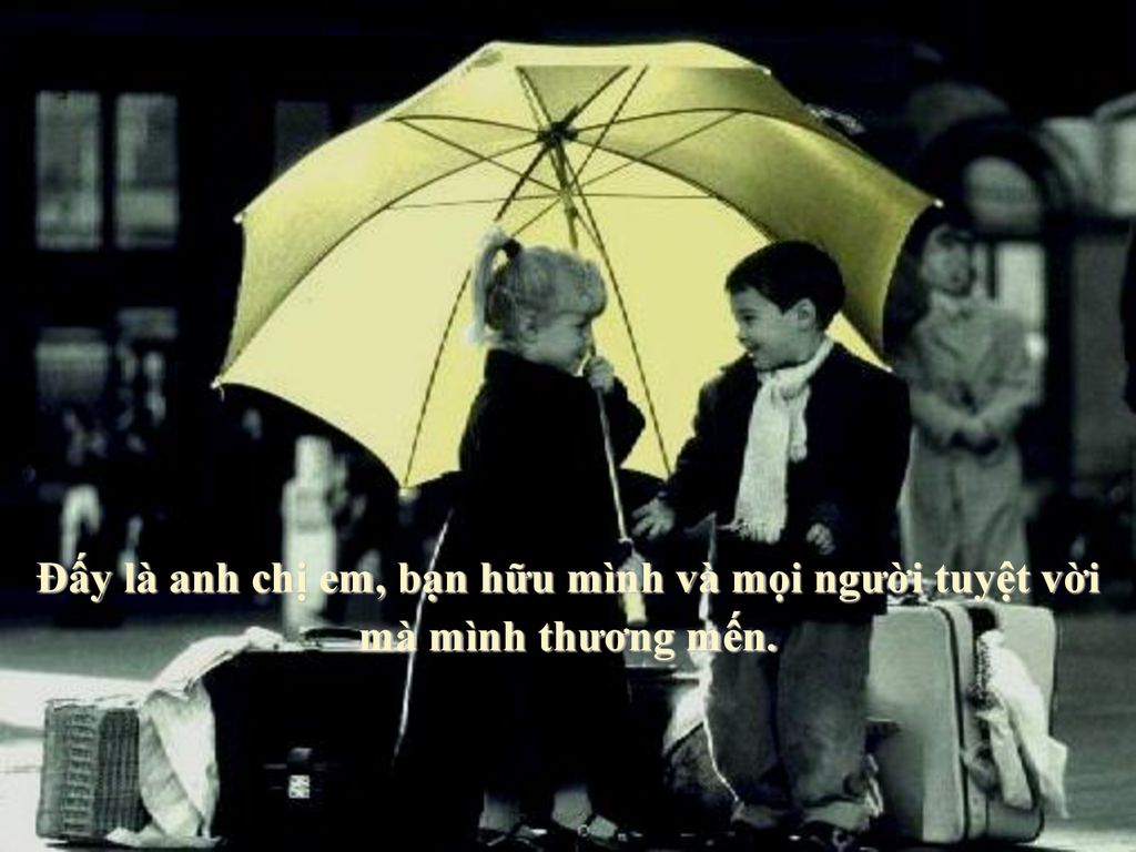 Đấy là anh chị em, bạn hữu mình và mọi người tuyệt vời