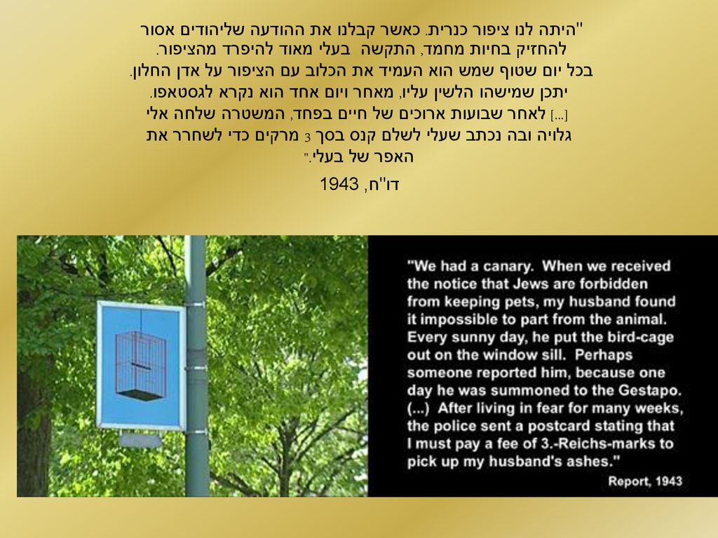 היתה לנו ציפור כנרית. כאשר קבלנו את ההודעה שליהודים אסור