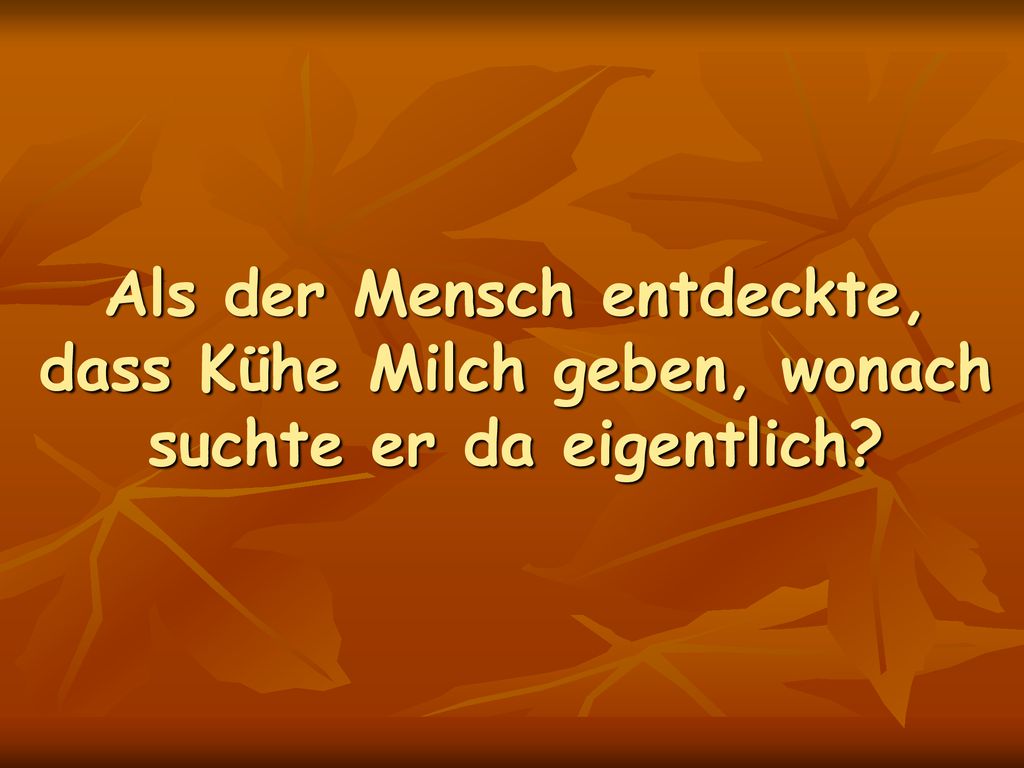 Als der Mensch entdeckte, dass Kühe Milch geben, wonach suchte er da eigentlich