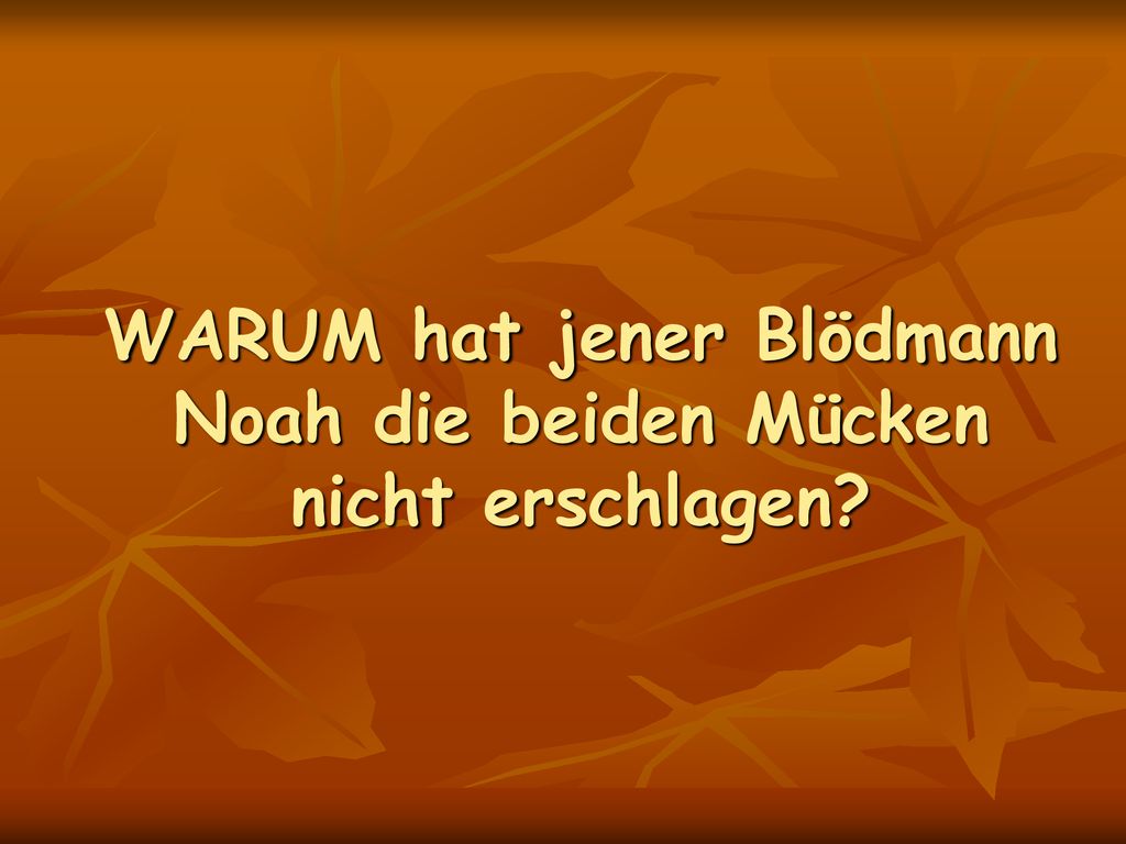 WARUM hat jener Blödmann Noah die beiden Mücken nicht erschlagen