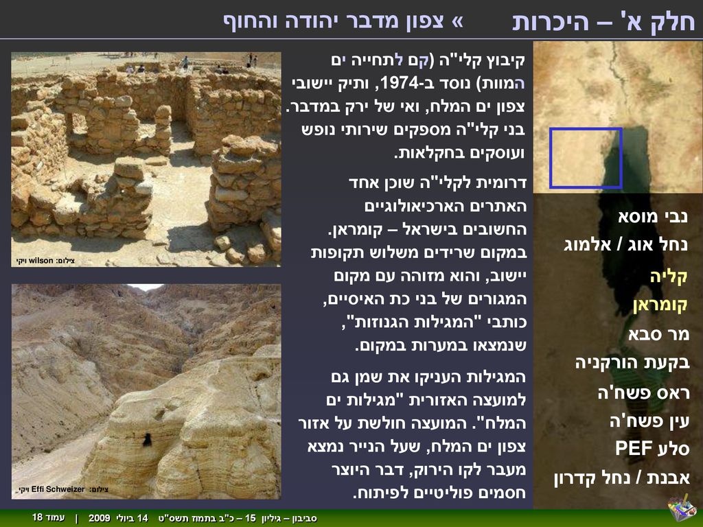 חלק א – היכרות « צפון מדבר יהודה והחוף נבי מוסא נחל אוג / אלמוג קליה