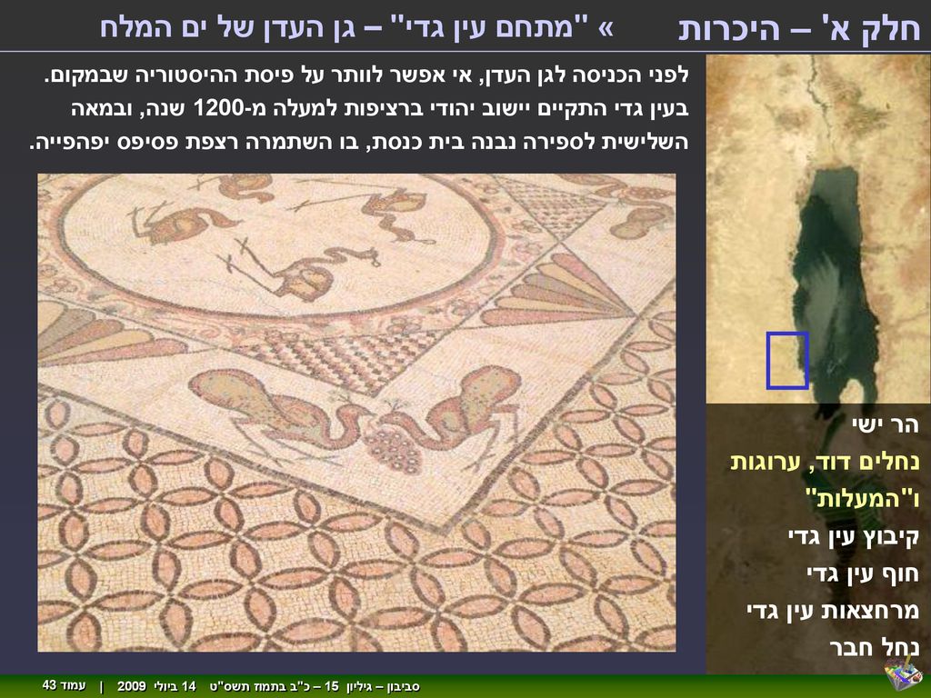 חלק א – היכרות « מתחם עין גדי – גן העדן של ים המלח הר ישי