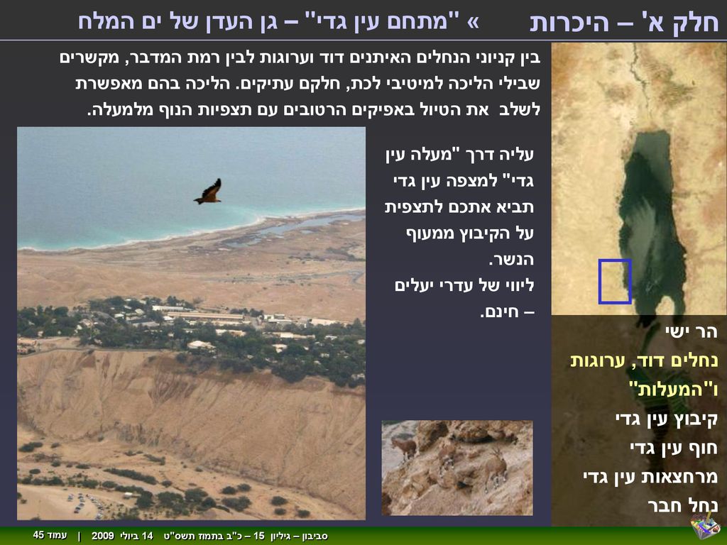 חלק א – היכרות « מתחם עין גדי – גן העדן של ים המלח הר ישי