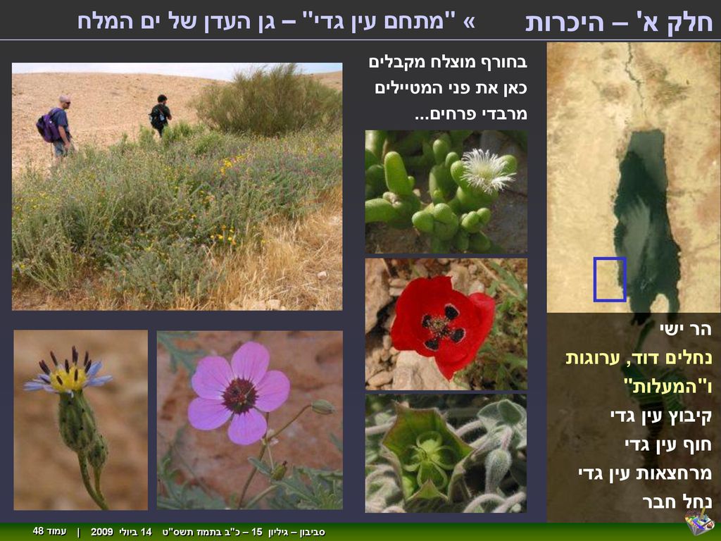 חלק א – היכרות « מתחם עין גדי – גן העדן של ים המלח הר ישי