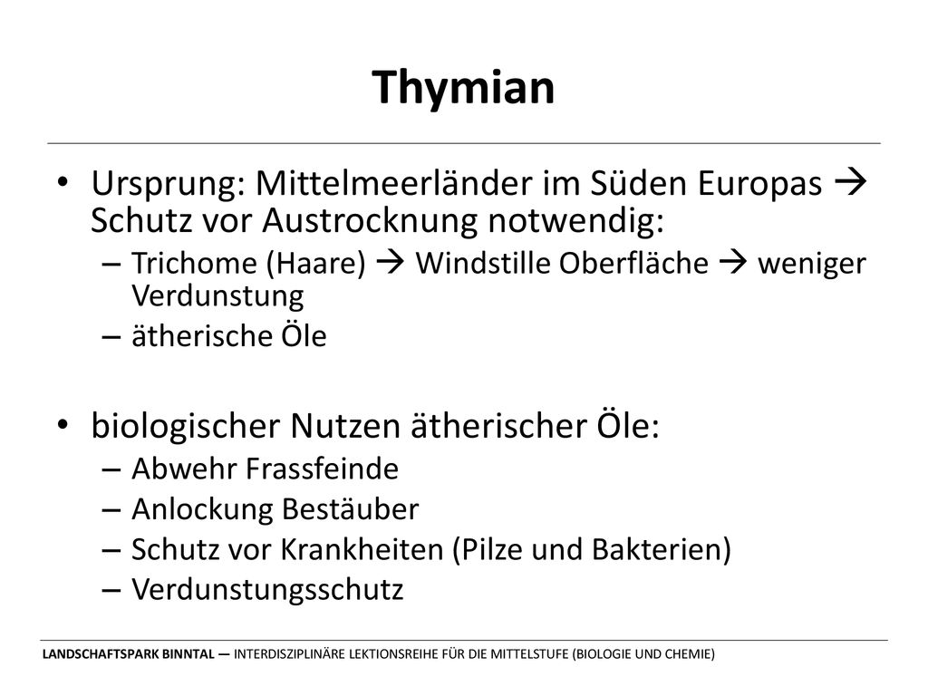 Thymian Ursprung: Mittelmeerländer im Süden Europas  Schutz vor Austrocknung notwendig: