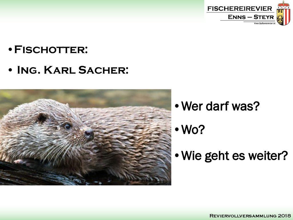 Wer darf was Wo Wie geht es weiter Fischotter: Ing. Karl Sacher: