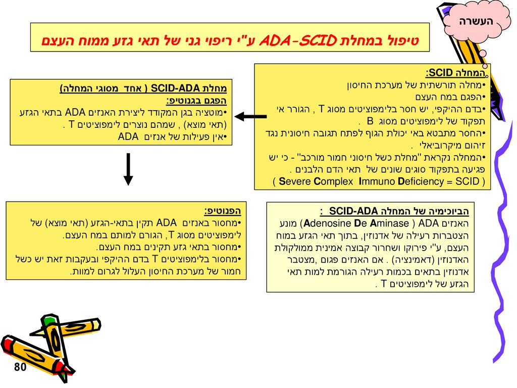 טיפול במחלת ADA-SCID ע י ריפוי גני של תאי גזע ממוח העצם