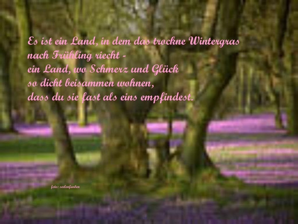Es ist ein Land, in dem das trockne Wintergras nach Frühling riecht -
