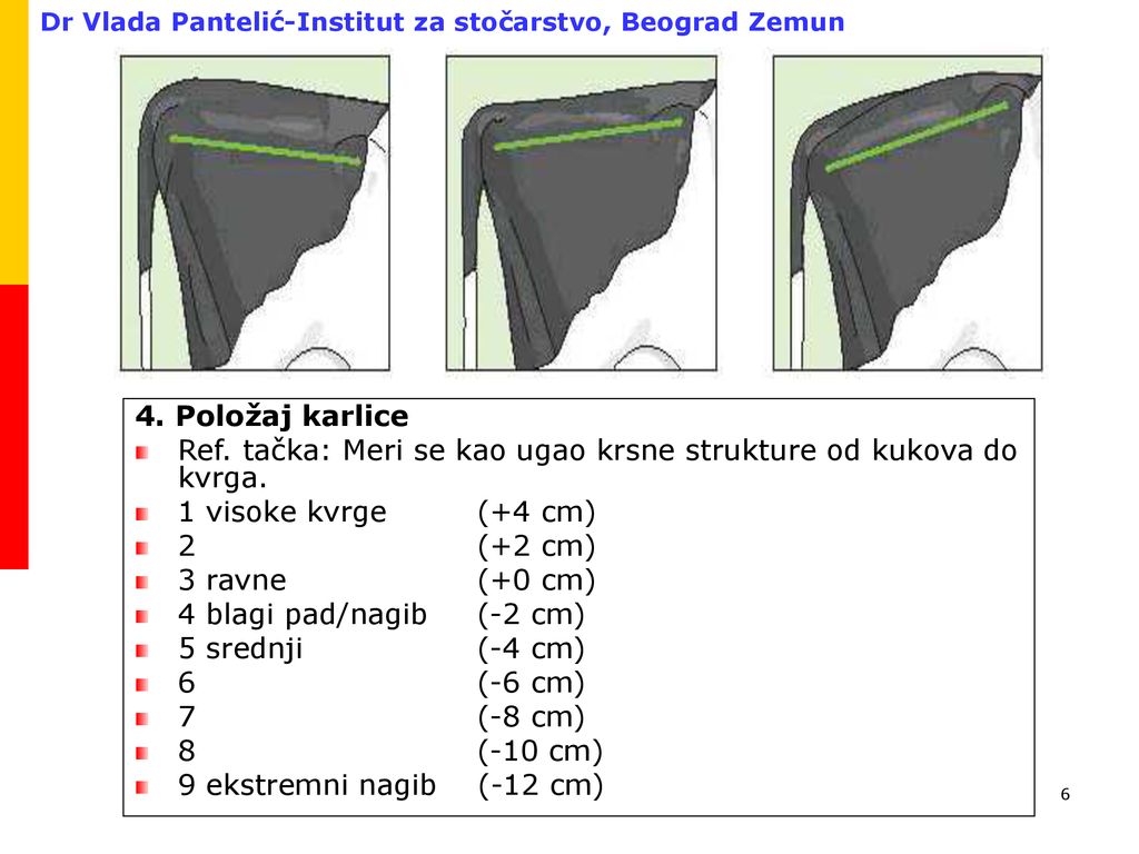 4. Položaj karlice Ref. tačka: Meri se kao ugao krsne strukture od kukova do kvrga. 1 visoke kvrge (+4 cm)