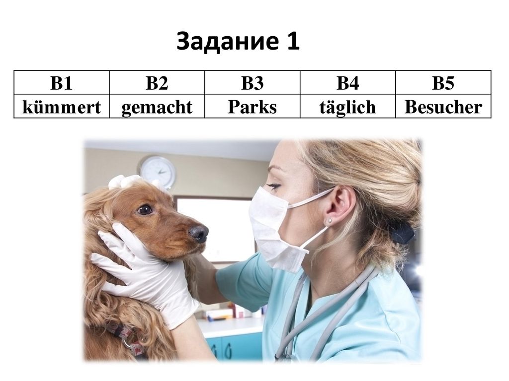 Задание 1 B1 B2 B3 B4 B5 kümmert gemacht Parks täglich Besucher