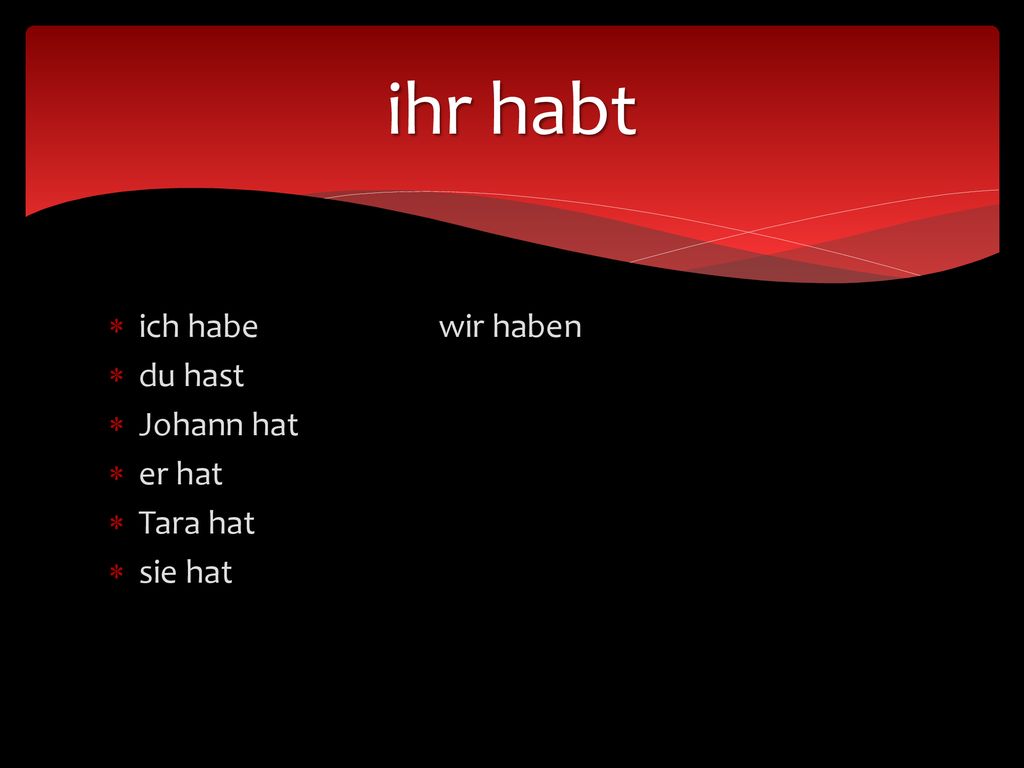 ihr habt ich habe wir haben du hast Johann hat er hat Tara hat sie hat