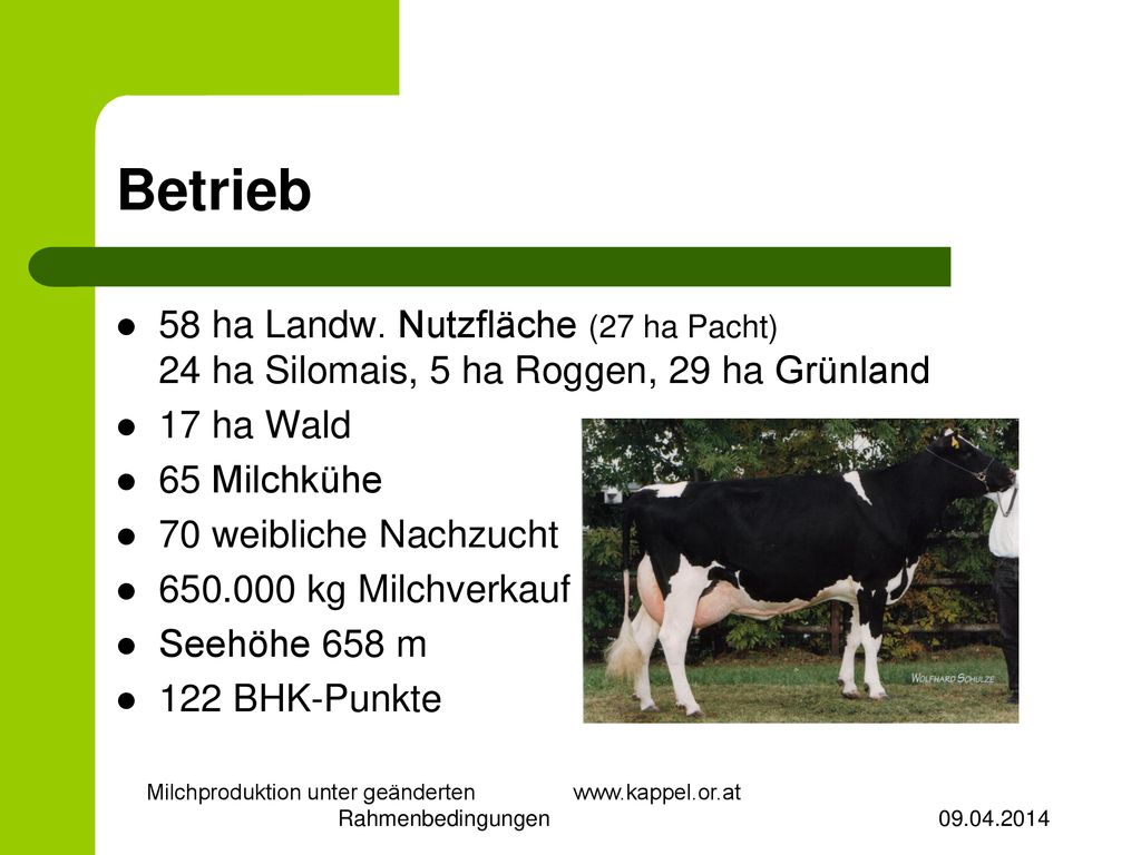 Milchproduktion unter geänderten   Rahmenbedingungen