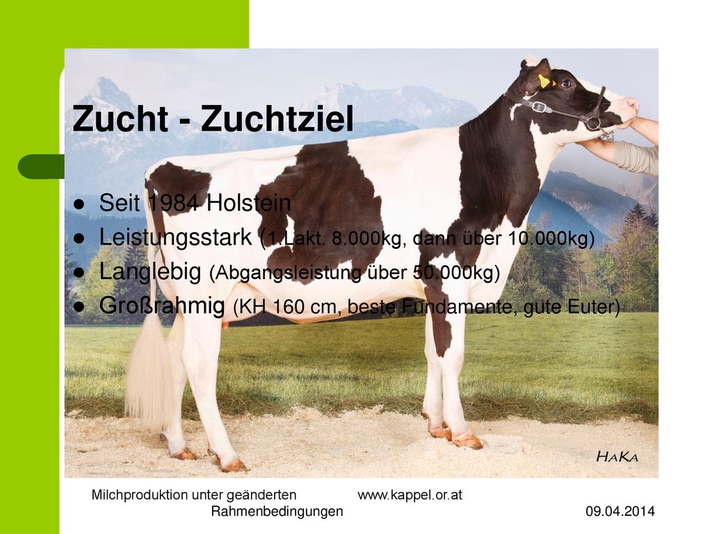 Milchproduktion unter geänderten   Rahmenbedingungen