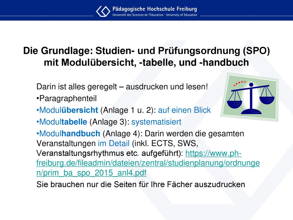 Die Grundlage: Studien- und Prüfungsordnung (SPO) mit Modulübersicht, -tabelle, und -handbuch
