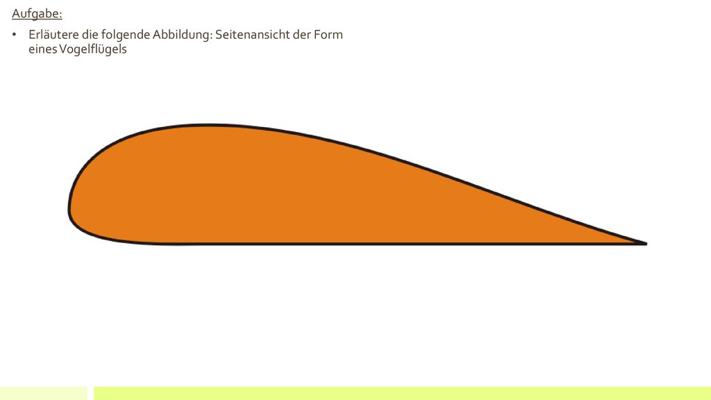 Aufgabe: Erläutere die folgende Abbildung: Seitenansicht der Form eines Vogelflügels