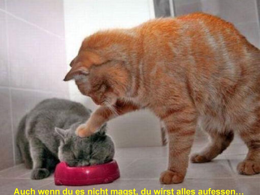Auch wenn du es nicht magst, du wirst alles aufessen…