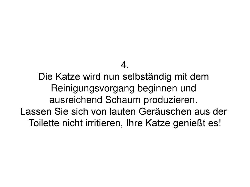 Die Katze wird nun selbständig mit dem Reinigungsvorgang beginnen und